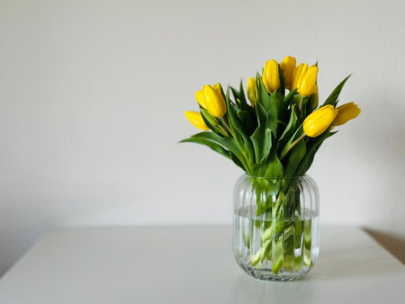 Yellow tulips in a glass vase on a white background.の写真素材