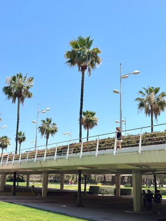 Park in Valencia, Spain.の写真素材
