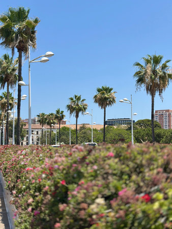 Alcala de Henares, Spain. The promenade of the city.の写真素材