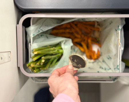 Compostable waste. Waste sorting.