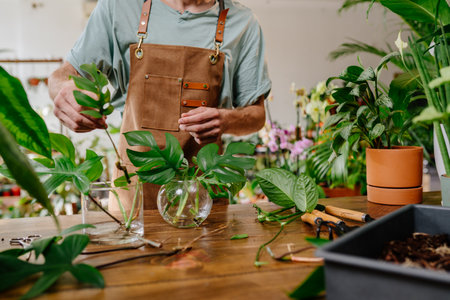 Close up of young beard mans hands pours water into a glass vase. Experienced florist with monstera leaves against an interior backdrop of plant potsの写真素材