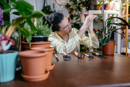 american botanist female entrepreneur store owner looking for midges on the leaves of a potted plant while sitting in her workplace in flower shop.の写真素材