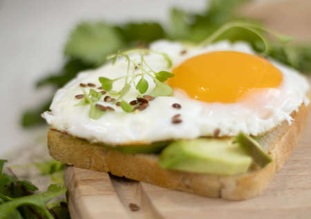 Fried Egg Avocado Sandwich - Sliced ââavocado and egg on toasted bread with arugula for a healthy breakfast or snack.の写真素材