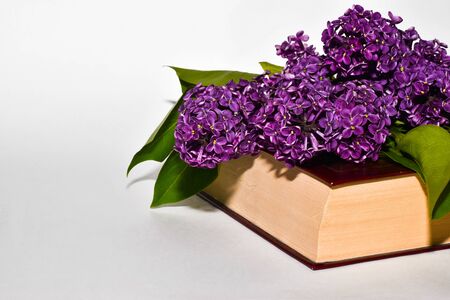 A bouquet of flowers lies on a book on a white background. Place for text. The concept of rest.の写真素材