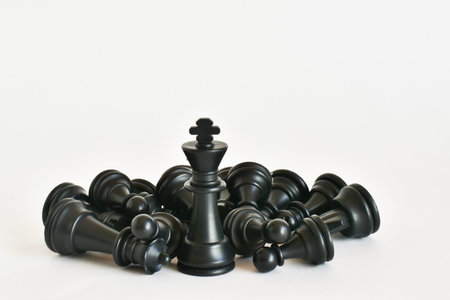 Chess. Black pieces on a white background. place for text.