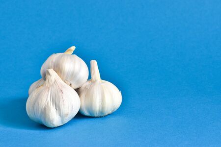 garlic on a blue background. food concept.の写真素材