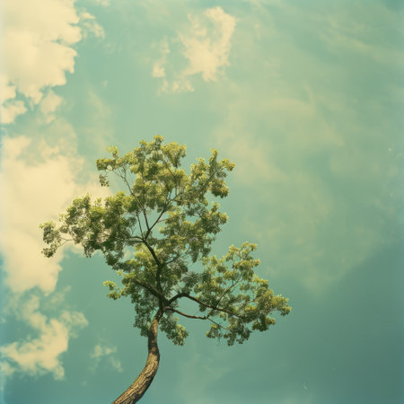 Tree on blue sky background with filter effect retro vintage style and soft focusの素材