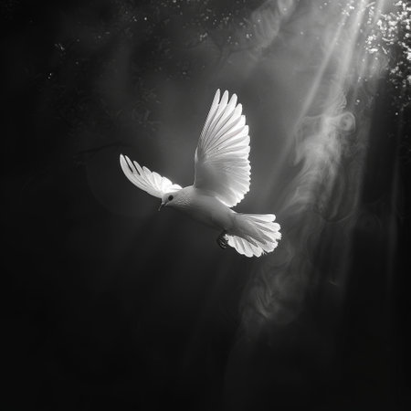 White seagull flying in the dark. Black and white photo.の素材