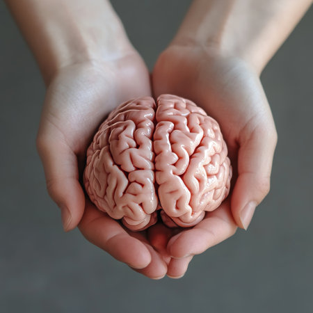 Human brain in female hands on grey background, top view. Conceptual imageの素材