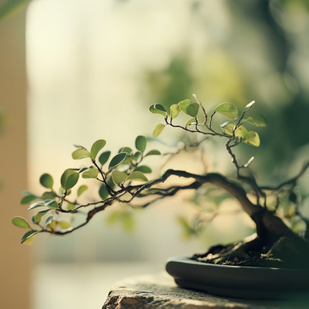 Bonsai tree in a pot. Selective focus. Nature.の素材
