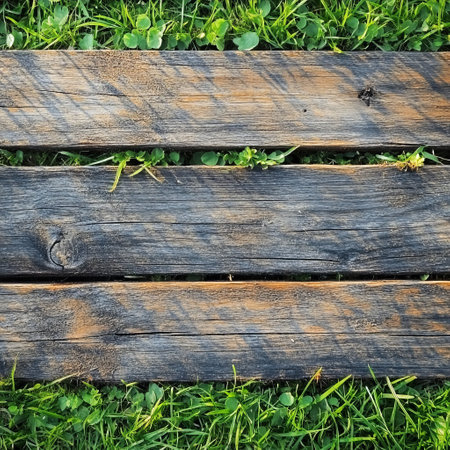 Old wooden planks on green grass background. Top view. Copy space.の素材