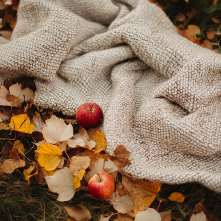 Autumn leaves, apples and knitted plaid on the grassの素材