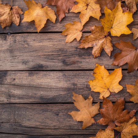 Autumn leaves on wooden background. Top view with copy space.の素材