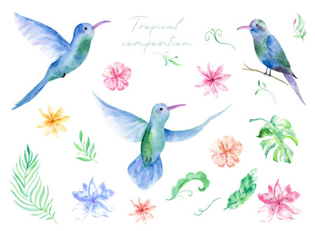 Watercolor set with tropical flowers, leaves and hummingbird. Hawaiian exotic illustrations for greeting card, wedding, wallpaper.の写真素材