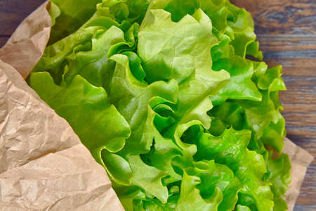 Simple Seasonal green organic salad healthy raw foodの写真素材