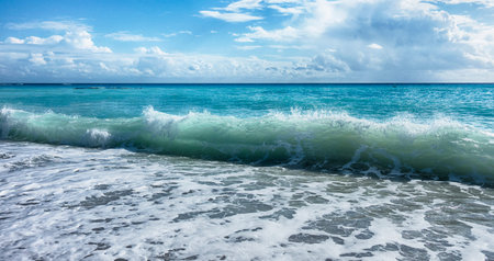 waves on the beach