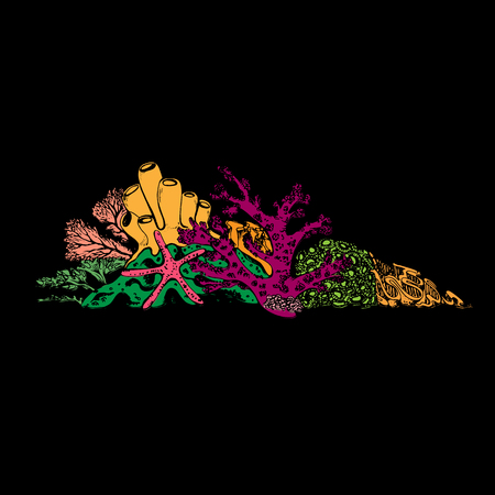 Coral reef and underwater flora. Corals, polyps, seaweed and deep water plants.Vector Illustrationのイラスト素材