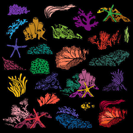 Coral reef and underwater flora. Corals, polyps, seaweed and deep water plants.Vector Illustrationのイラスト素材