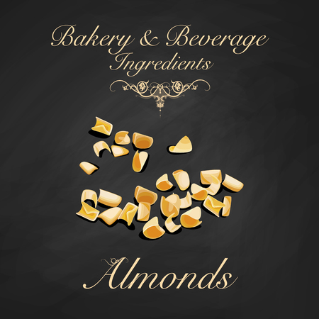 Bakery and beverage ingredients - almonds. Vector Illustrationのイラスト素材
