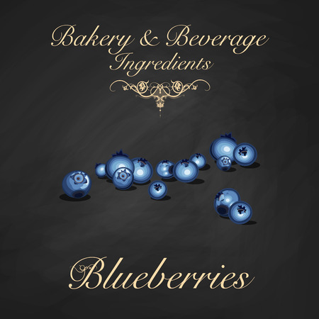 Bakery and beverage ingredients - blueberries. Vector Illustrationのイラスト素材