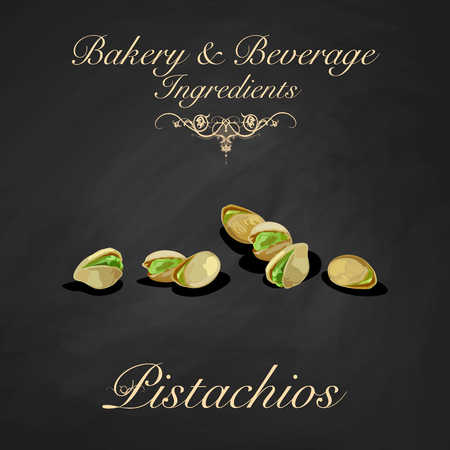 Bakery and beverage ingredients - pistachios. Vector Illustrationのイラスト素材