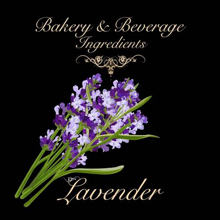 Bakery and beverage ingredients - lavender. Vector Illustrationのイラスト素材
