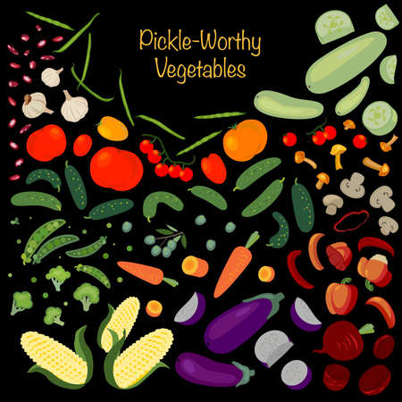 Mix of pickle-worthy vegetables. Mushrooms, peppers, beet, eggplants, tomatoes, olives, broccoli, carrots, zucchinis, cucumbers, beans, garlic and peas. Vector Illustrationのイラスト素材