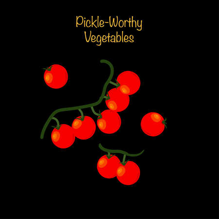 Pickle-worthy vegetables - branch of cherry tomatoes. Vector Illustrationのイラスト素材