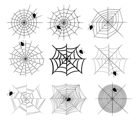 collection of spider websのイラスト素材