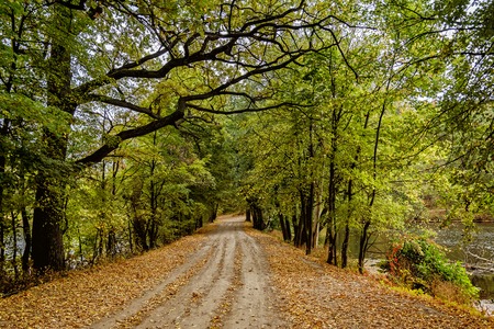 Autumn parkの写真素材