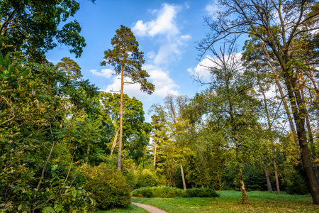 Autumn park
