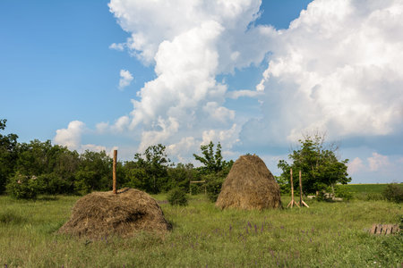 Landscapeの写真素材