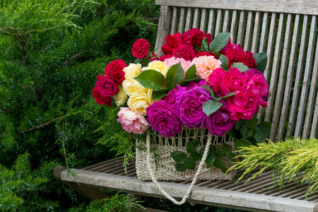 Basket with roses. In the garden.の写真素材