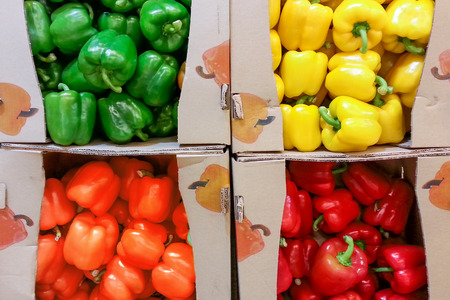 Colorful bell peppers in boxes.の写真素材