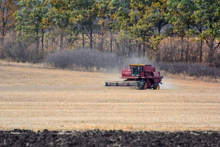 Harvester is working in the field during harvest time.の写真素材