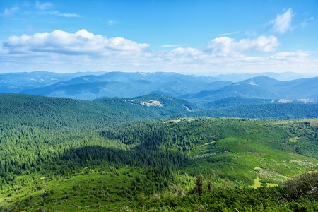 Carpathian Mountains in Ukraine.の写真素材