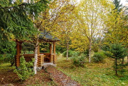 Wooden pergola in the autumn garden. Autumn leaf fall.の写真素材