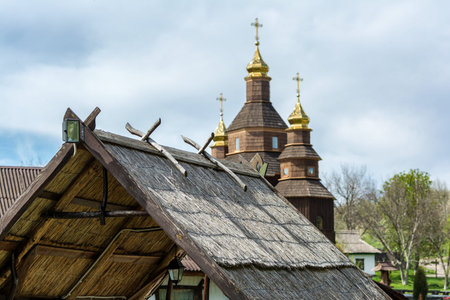 Roof of reeds. Traditional roof of ecological material - cane.