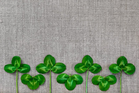 Green leaves of clover on the background of linen cloth.
