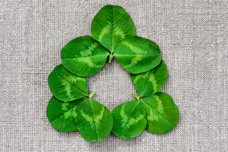 Green leaves of clover on the background of linen cloth.の写真素材