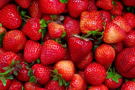 Background with ripe fresh red strawberry. Sweet berry.の写真素材