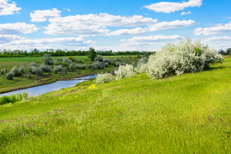 River and green leaves background.