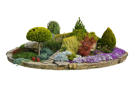 Flowerbed with decorative trees, bushes and flowers in the summer garden, park design. Isolated, white background.の写真素材