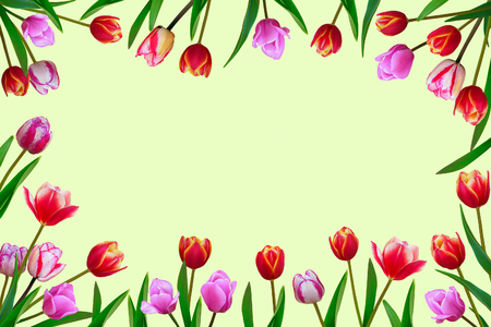 Bouquet of spring fresh flowers, tulips with multi-colored petals.の写真素材