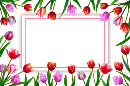 Bouquet of spring fresh flowers, tulips with multi-colored petals.の写真素材
