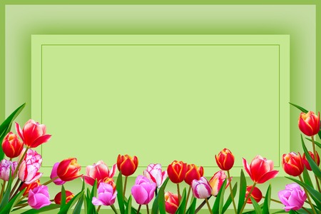 Bouquet of spring fresh flowers, tulips with multi-colored petals.の写真素材