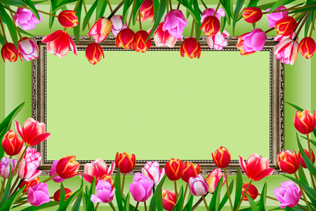 Frame of bouquet of spring fresh flowers, tulips with multi-colored petals.の写真素材