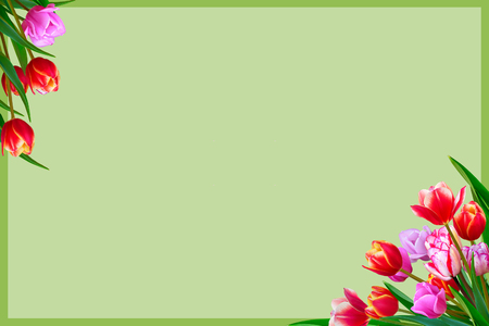Frame of bouquet of spring fresh flowers, tulips with multi-colored petals.の写真素材
