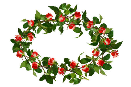 Circlet of flowers, red with white roses and green leaves. Isolated, white background.の写真素材