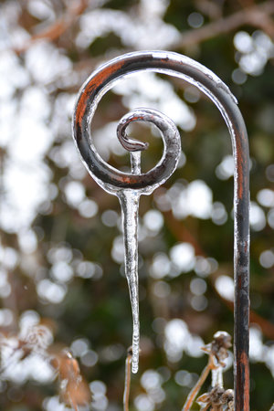 Glaciation after the spring thaw. Decorative metal support for climbing plants is covered with ice....